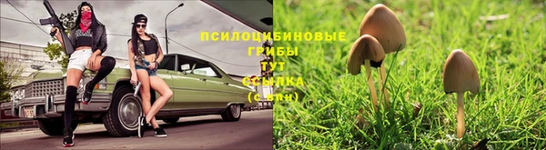 мяу мяу мука Алексин