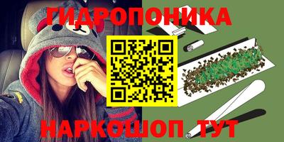 кокс Бийск