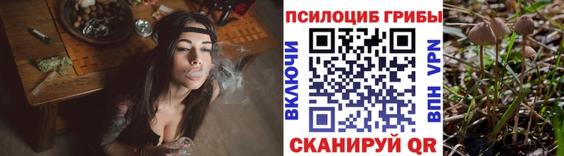 Галлюциногенные грибы прущие грибы hydra ссылки Звенигород где купить наркоту