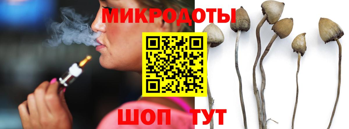 Псилоцибиновые грибы Magic Shrooms Звенигород