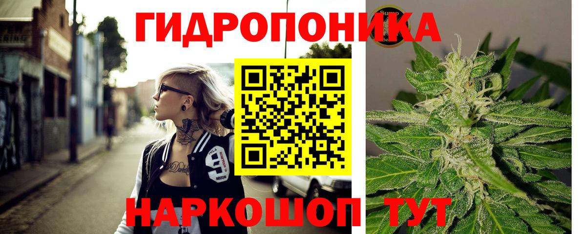 Марихуана план Звенигород